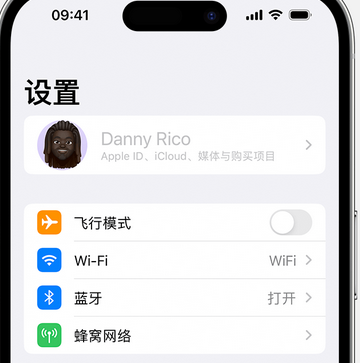 揭阳appleID维修服务iPhone设置中Apple ID显示为灰色无法使用 