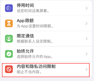 揭阳appleID维修服务iPhone设置中Apple ID显示为灰色无法使用