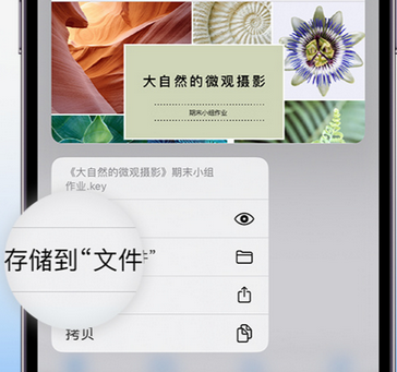 揭阳apple维修中心分享iPhone文件应用中存储和找到下载文件