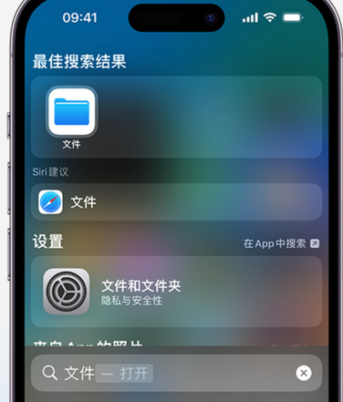 揭阳apple维修中心分享iPhone文件应用中存储和找到下载文件 