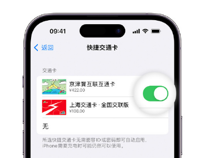 揭阳apple维修点分享iPhone上更换Apple Pay快捷交通卡手绘卡面 