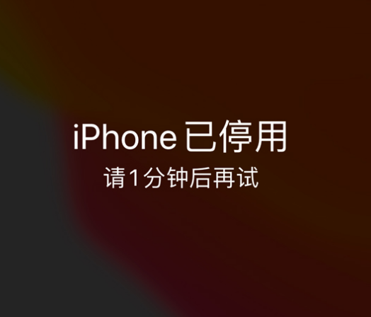 揭阳苹果手机维修分享:iPhone 显示“不可用”或“已停用”怎么办？还能保留数据吗？ 