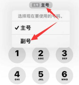 揭阳苹果14维修店分享iPhone 14 Pro Max使用副卡打电话的方法 