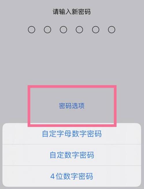 揭阳苹果14维修分享iPhone 14plus设置密码的方法 