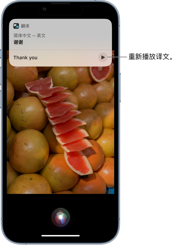 揭阳苹果14维修分享 iPhone 14 机型中使用 Siri：了解 Siri 能帮你做什么 