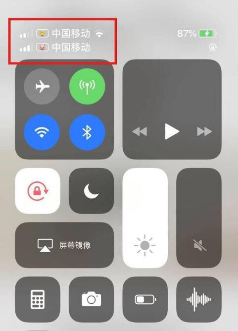 揭阳苹果手机维修分享为 iPhone 12 双卡设置标签 