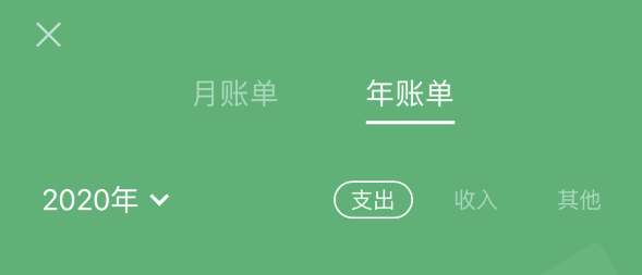 揭阳苹果手机维修分享如何在 iPhone 上查看支付宝和微信年支出账单 