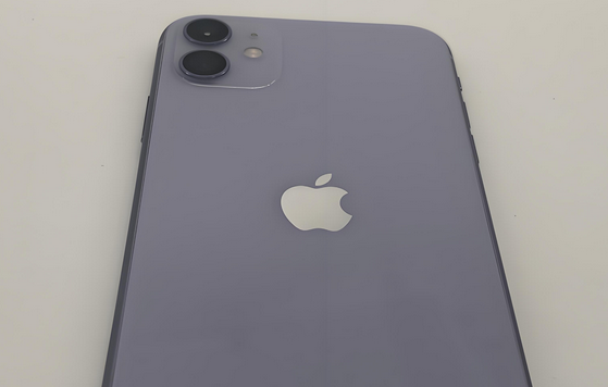 揭阳苹果11系统维修分享iPhone11手机系统崩溃无法开机如何解决 